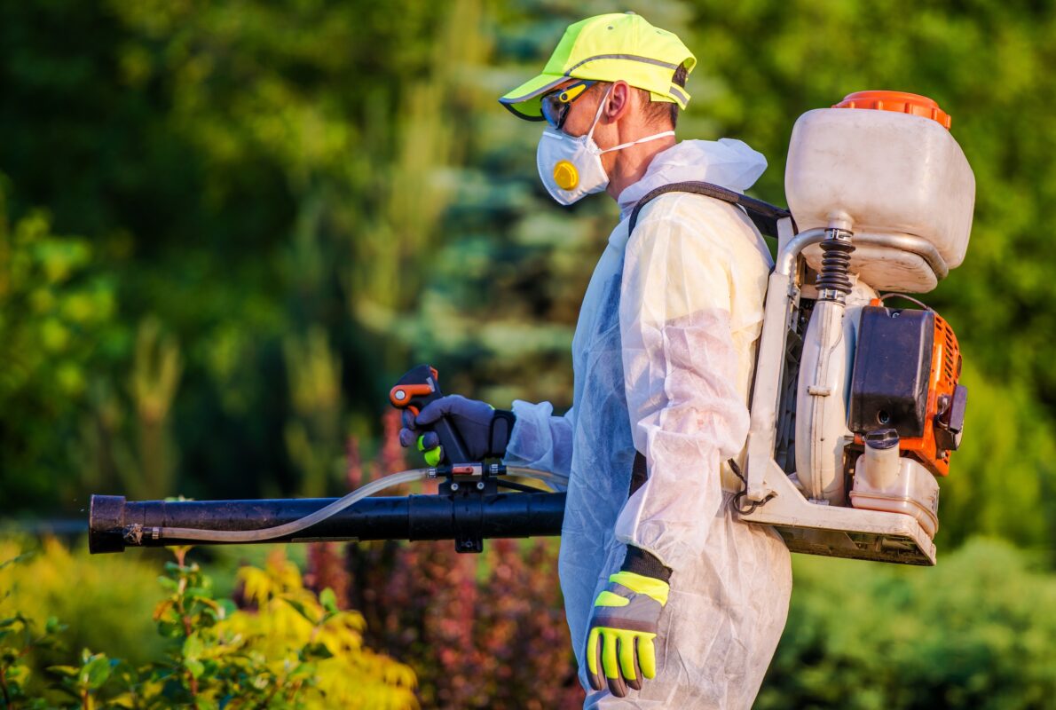 Od Insekticídov po Prírodné Postreky: Ako Odradiť Kliešte od Vašej Záhrady
