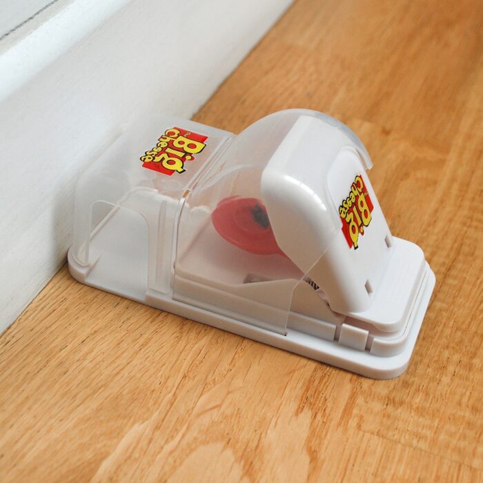 Pasca na myši s ochranným krytom The Big Cheese Pet Safe • Kliešť.sk