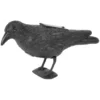 Plasič vtákov Havran čierny Plasic vtákov Havran čierny, 38 cm Strend Pro • Kliešť.sk